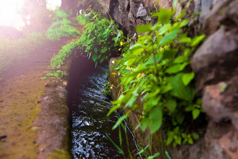 acequia
